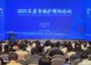 2025石窟寺保护国际论坛在洛阳举行：全球智慧共绘千年文明守护图