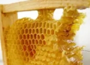 蜂蜜的永恒之谜：千年不腐背后的科学传奇