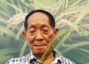 袁隆平：禾下乘凉梦的追梦人