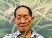 袁隆平：禾下乘凉梦的追梦人