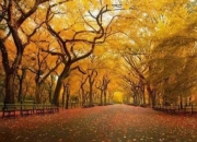 螺丝壳：黔南秘境中的“云端剧场”