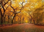 螺丝壳：黔南秘境中的“云端剧场”