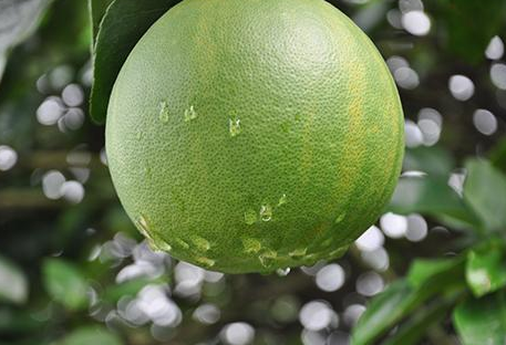 25191741.png 25191741.png