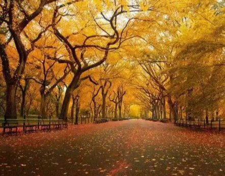 250827113421.png 250827113421.png